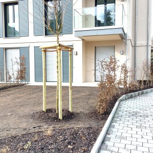 Außenansicht Wohnung mit eigenem Garten