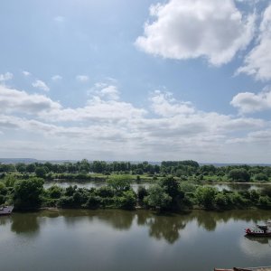 Fernblick