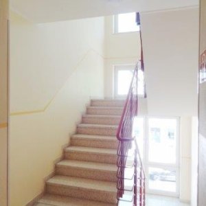 gepflegtes Treppenhaus