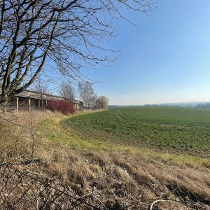 Fernblick