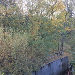 Bsp. Ausblick