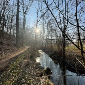 Weg entlang der kleinen Triebisch