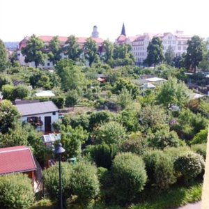 Blick aus dem Schlafzimmer