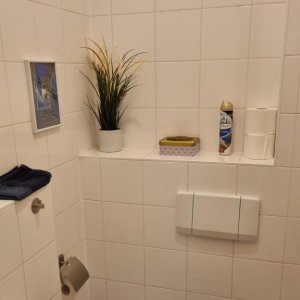 separates WC