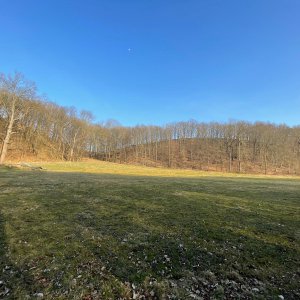 Wald und Wiese