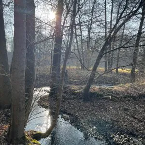 Ufer der kleinen Triebisch