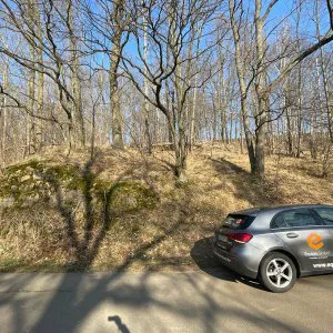 Südwesthang neben Straße