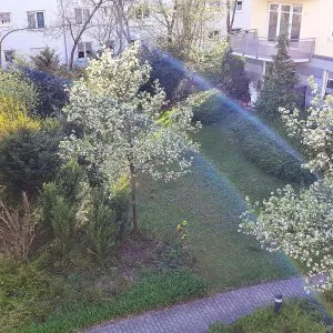 Wohnung
