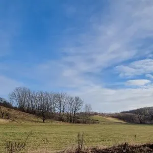 grüne Wohnlage 