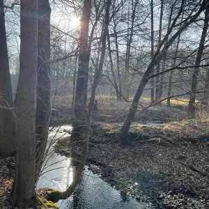 Ufer der kleinen Triebisch