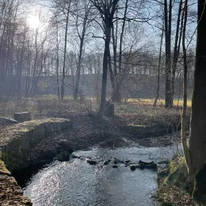 Ufer der Kleinen Triebisch