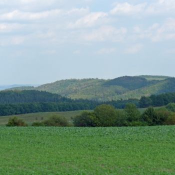 Grundstück